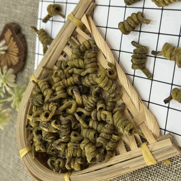 铁皮龙头凤尾(1公分左右)