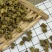 铁皮石斛枫斗颗粒(0.5)