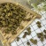 铁皮石斛枫斗颗粒(0.5)