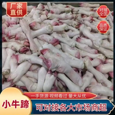 小牛蹄，水煺小牛蹄，火烧小牛蹄，厂家直销，质量保证