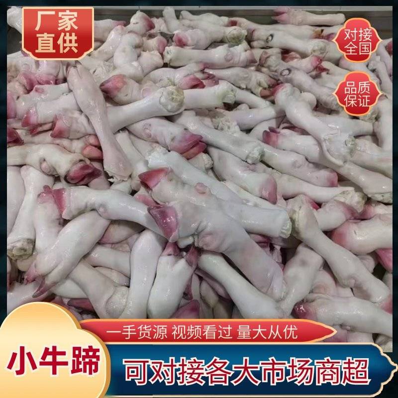 小牛蹄，水煺小牛蹄，火烧小牛蹄，厂家直销，质量保证