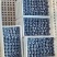 蓝莓熟了脆甜蓝莓产地L25云雀L11F6等多个品