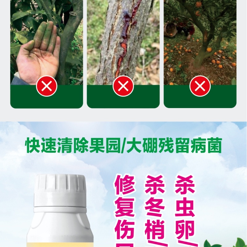 【实力】园棚清果园大棚查虫卵灭病菌肥料微生物菌剂
