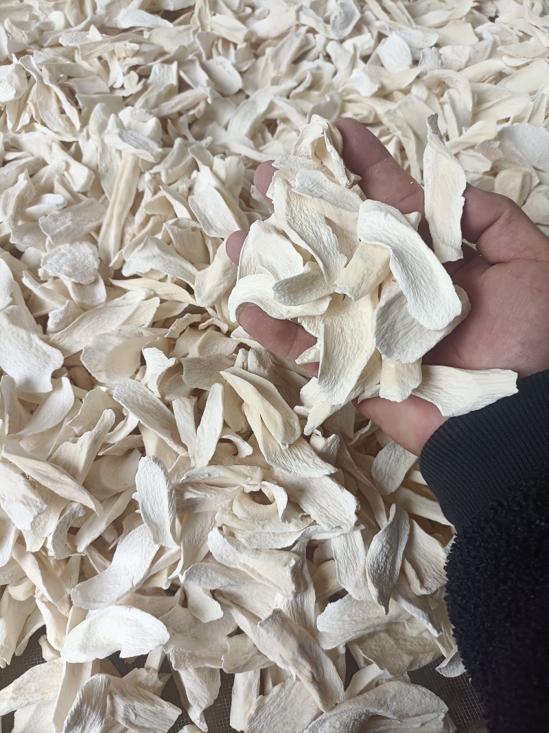 河南焦作温县怀山药干碎片