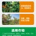【实力】园棚清果园大棚查虫卵灭病菌肥料微生物菌剂