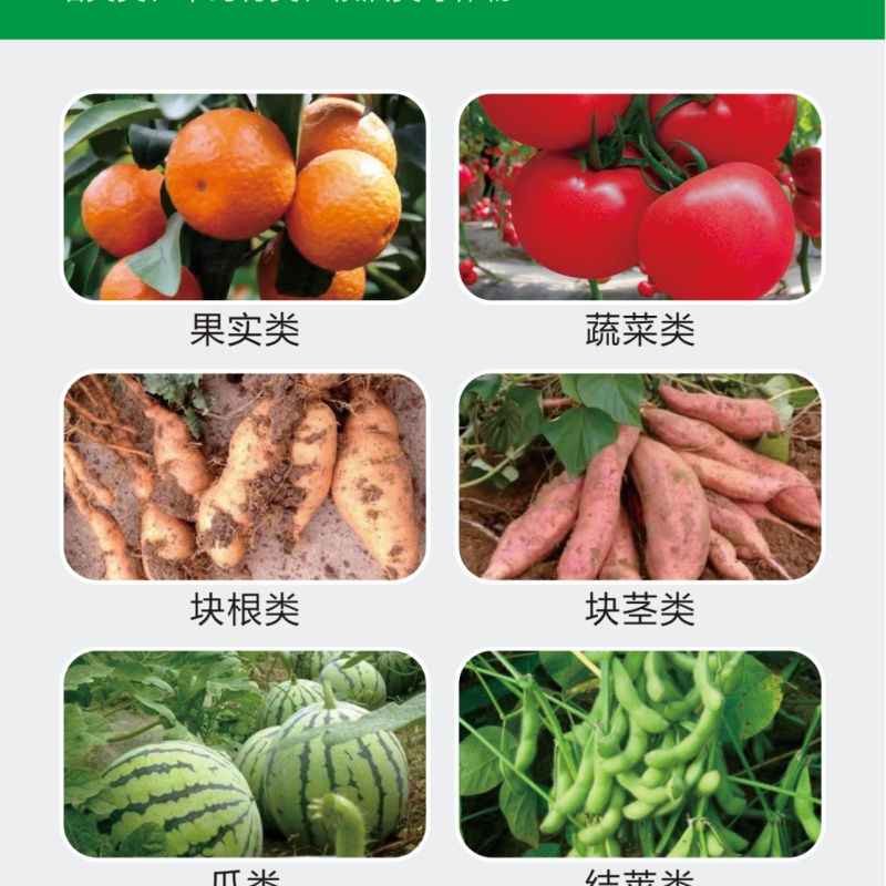 【实力】园棚清果园大棚查虫卵灭病菌肥料微生物菌剂