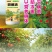 【实力】园棚清果园大棚查虫卵灭病菌肥料微生物菌剂