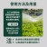 菌立清剂菌剂杀菌农用微生物真菌防治细菌根腐病害专用