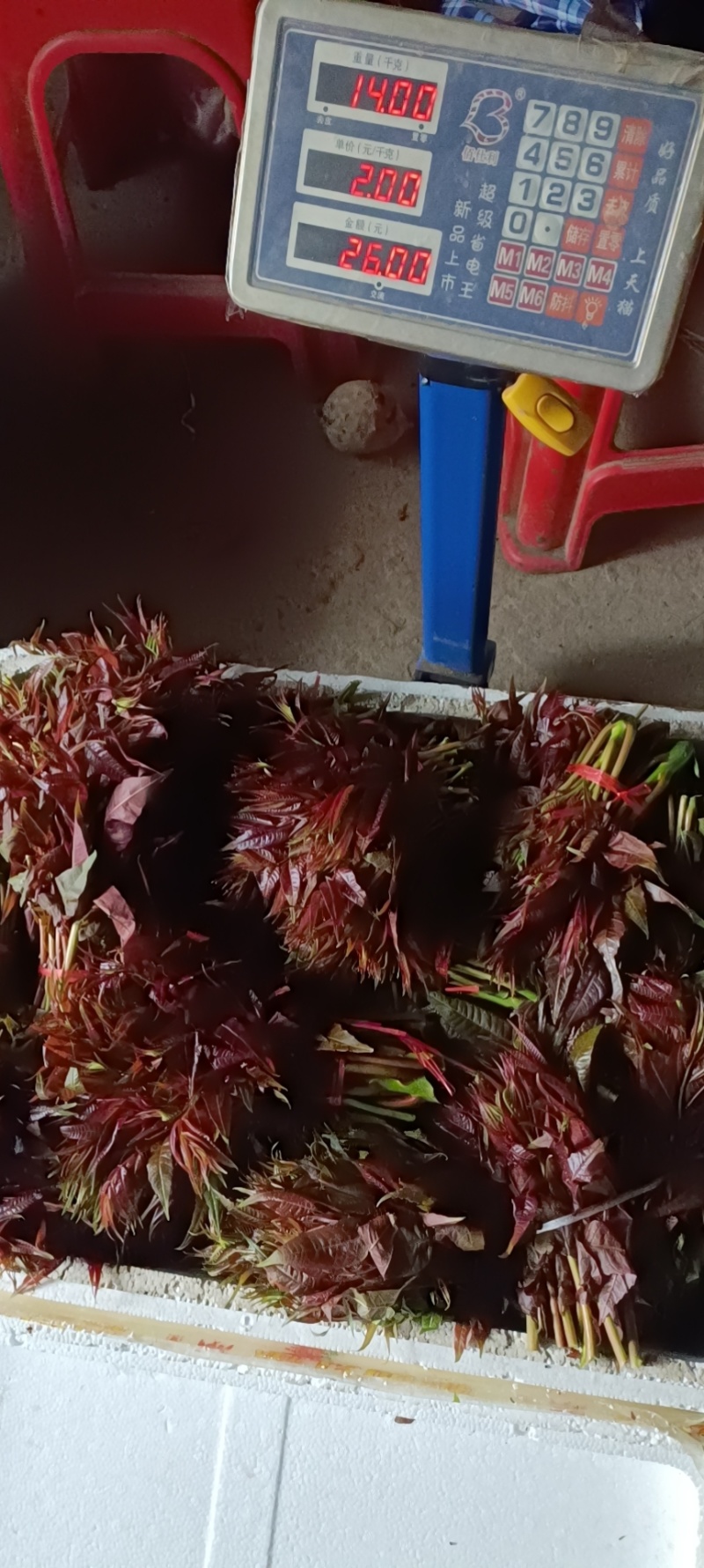 香椿春天好食材季节性的天然菜，抓紧时间吃营养，过后没货。