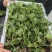 红颜草莓种苗，大量出售。需要的联系我。