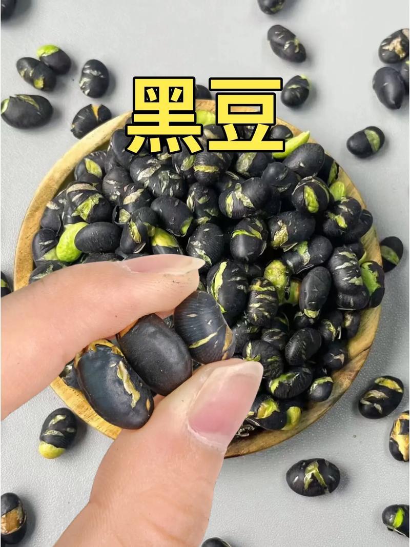 黑豆五黑农副产品绿心