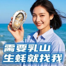 乳山生蚝/三倍体/水产山东威海净化蚝牡蛎鲜活/二倍体生蚝