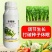4%赤霉酸920调节剂促生长拉长果穗调解生长