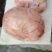 鸡宝