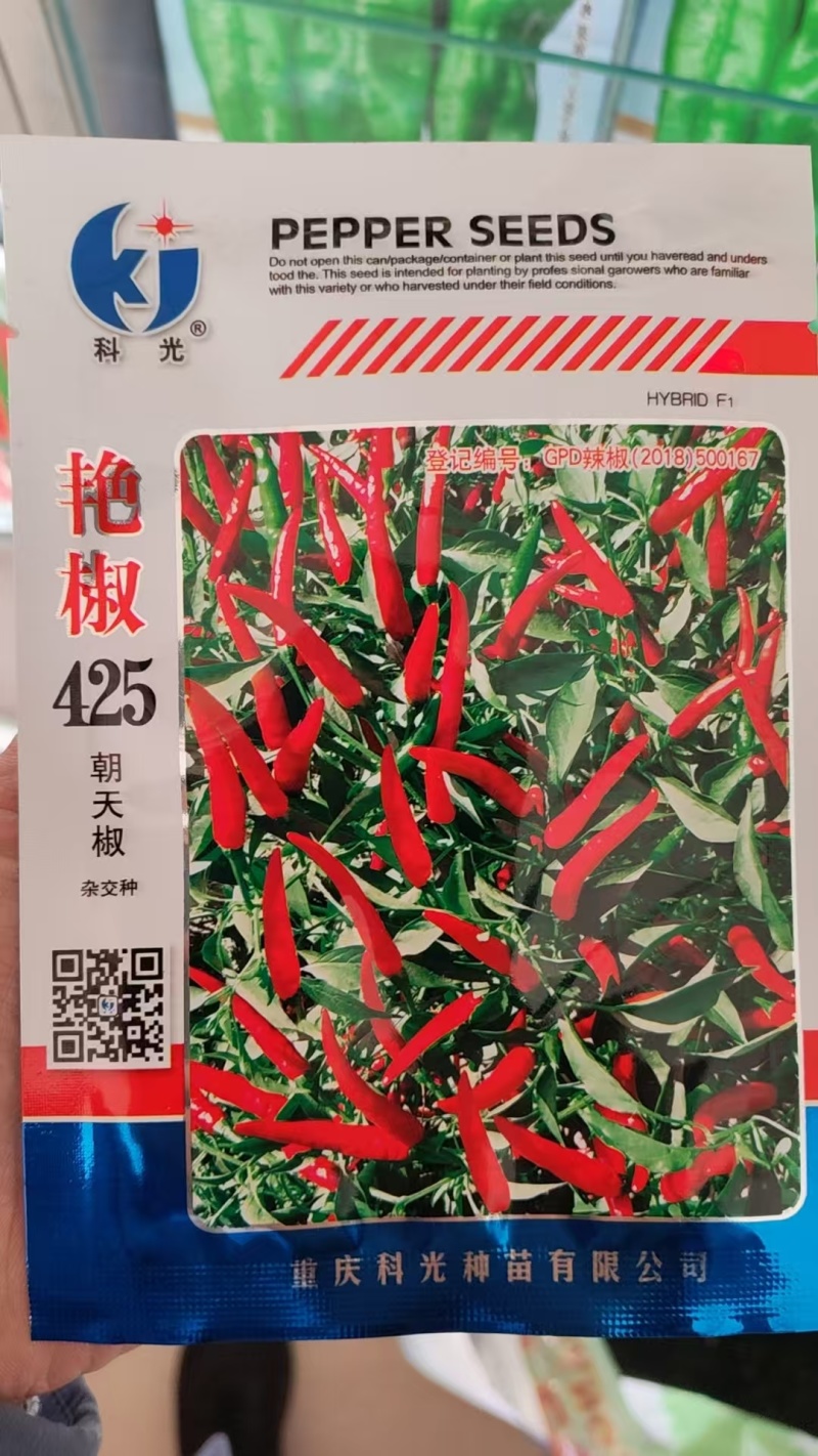 顺直泰系朝天椒种子亮红小米辣种子朝天椒种子