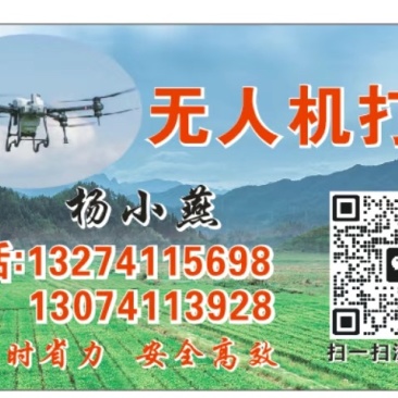 定州无人机打药、施肥植保服务（新换大疆T70P