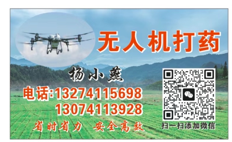 定州无人机打药、施肥植保服务（新换大疆T70P