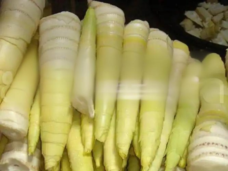 小笋笋肉