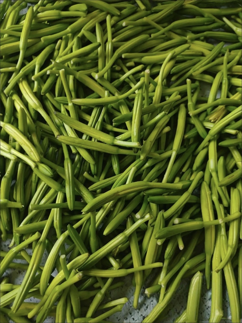 特菜新鲜黄花菜现货金针菜