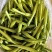 特菜新鲜黄花菜现货金针菜