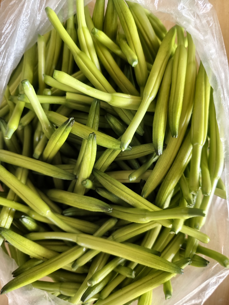 特菜新鲜黄花菜现货金针菜