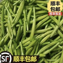 特菜新鲜黄花菜现货金针菜