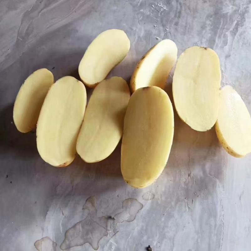 黄心土豆新鲜上市价格美丽对接全国质量好走货快欢迎询价