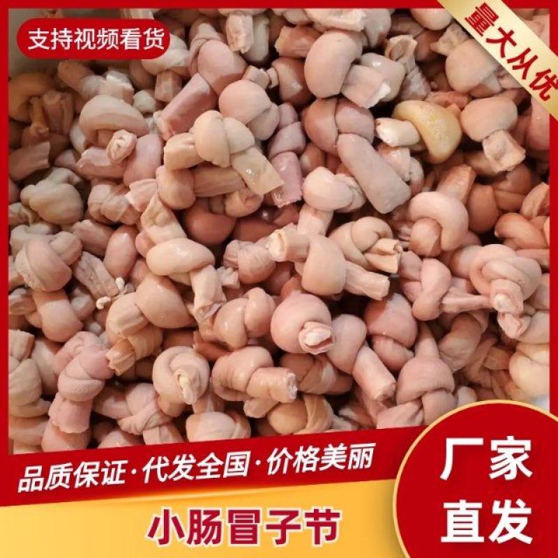 猪小肠冒节子厂家新鲜屠场纯干无苦味量大稳定