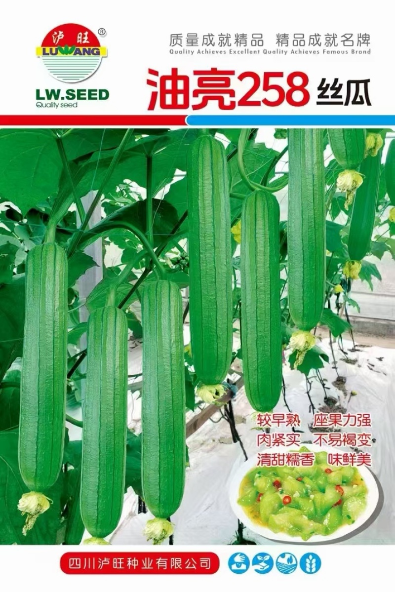 油亮丝瓜种子油亮828结果部位低瓜条油亮顺直高产