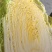 大白菜，大甩卖！精品大白菜