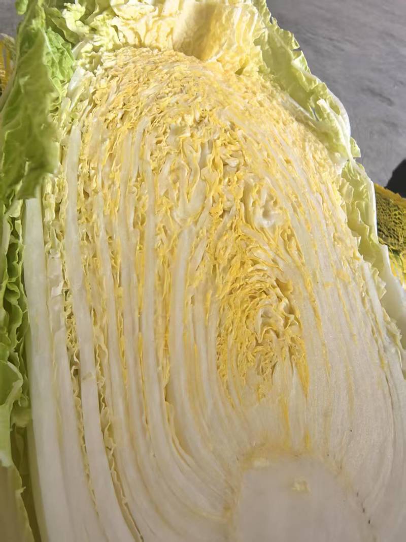 大白菜，大甩卖！精品大白菜