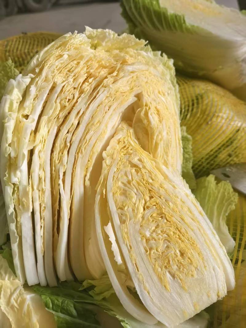 大白菜，大甩卖！精品大白菜