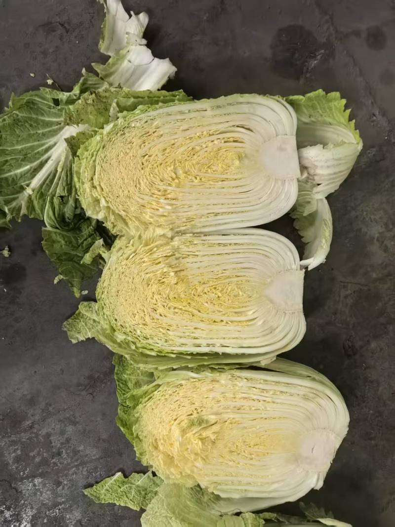 大白菜，大甩卖！精品大白菜