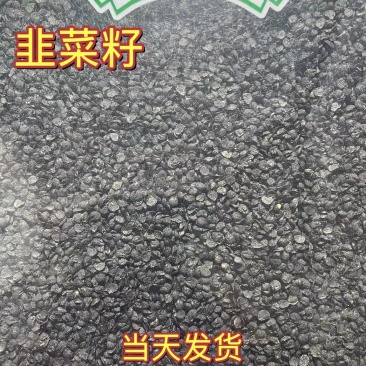 韭菜子中药材正品韭菜籽不含葱籽实物拍摄无硫新货