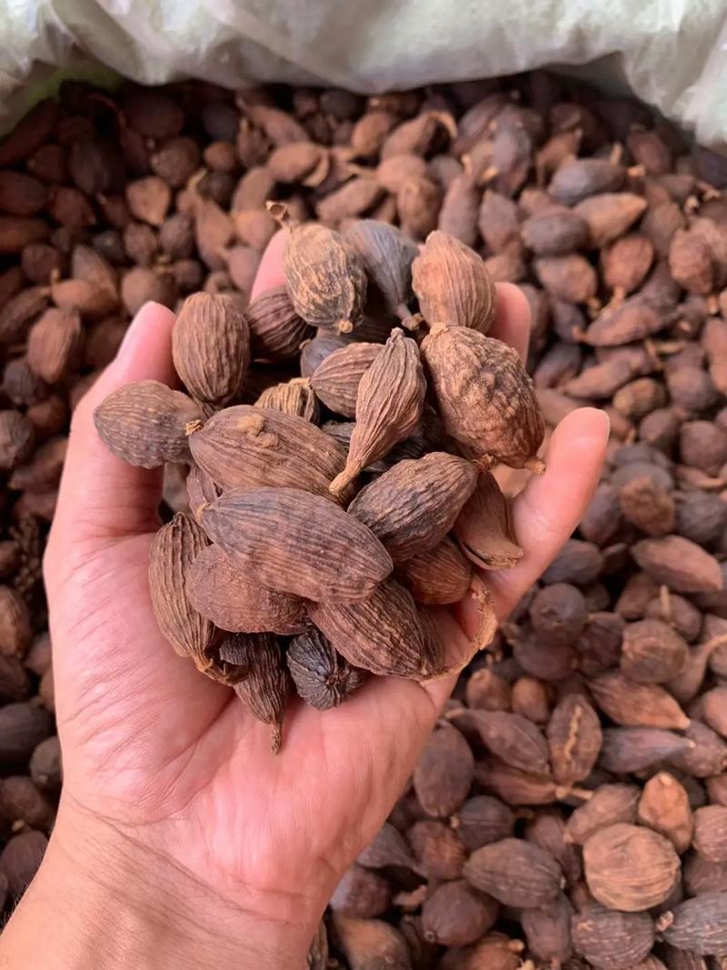 草果云南草果批发零售均可质量保证量大从优