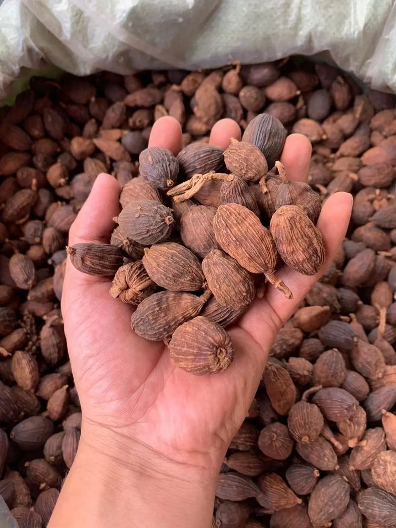 草果云南草果批发零售均可质量保证量大从优