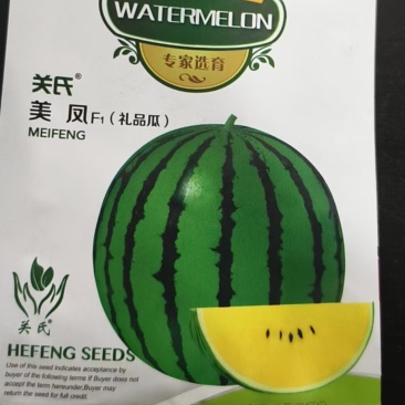 美凤西瓜种子-礼品西瓜生长稳健脆甜多糖高产丰收