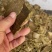 棉籽饼上地施肥用常年现货供应每天都大量现货