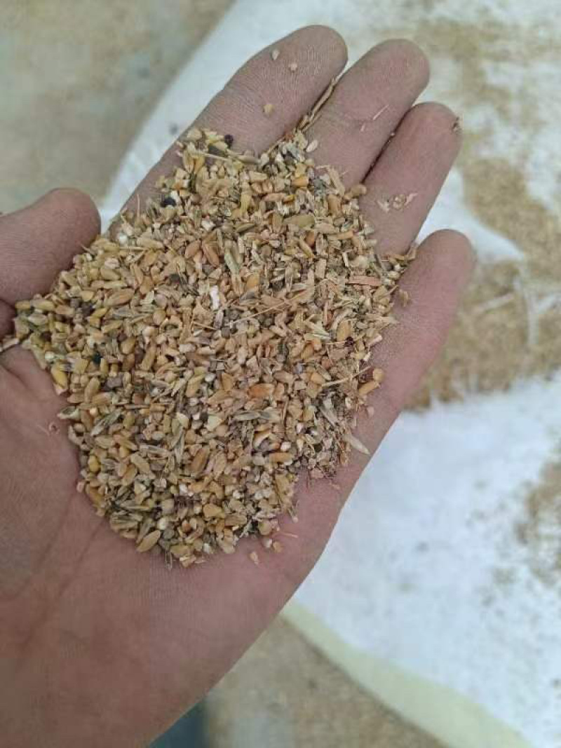 棉籽饼上地施肥用常年现货供应每天都大量现货