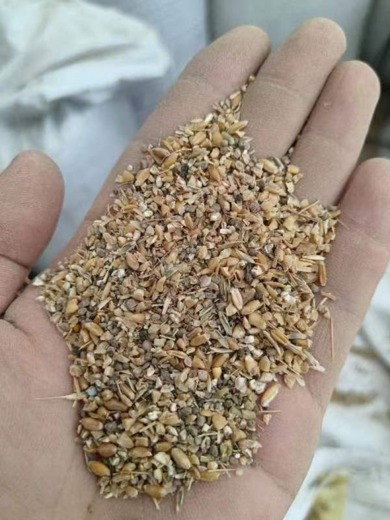 棉籽饼上地施肥用常年现货供应每天都大量现货