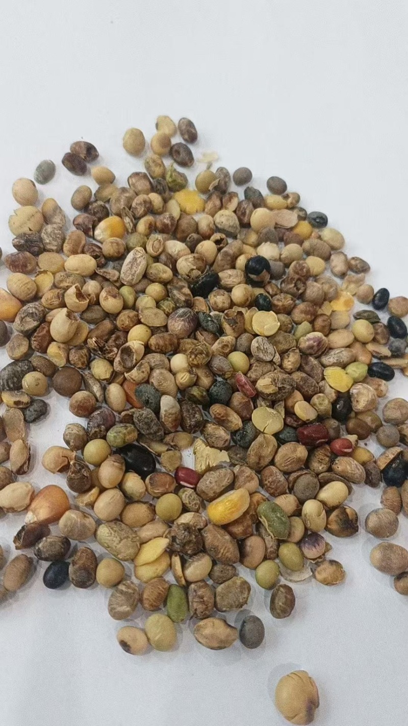 棉籽饼上地施肥用常年现货供应每天都大量现货
