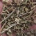 白英中药材白英段过筛白英大货供应各种中药材