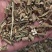 白英中药材白英段过筛白英大货供应各种中药材
