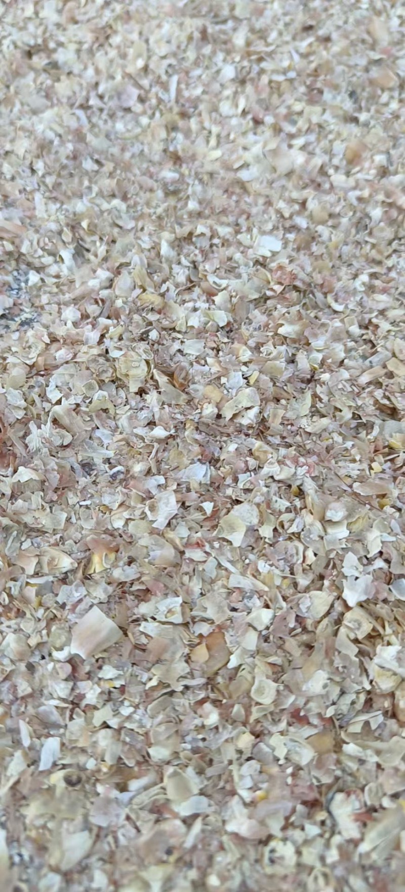 毛粮碎玉米适合鸡鸭鹅养殖户使用常年大量现货