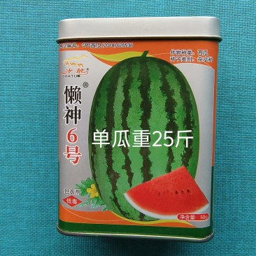 懒神6号花皮长瓜抗病强含糖高单瓜25斤左右果肉大红结果强