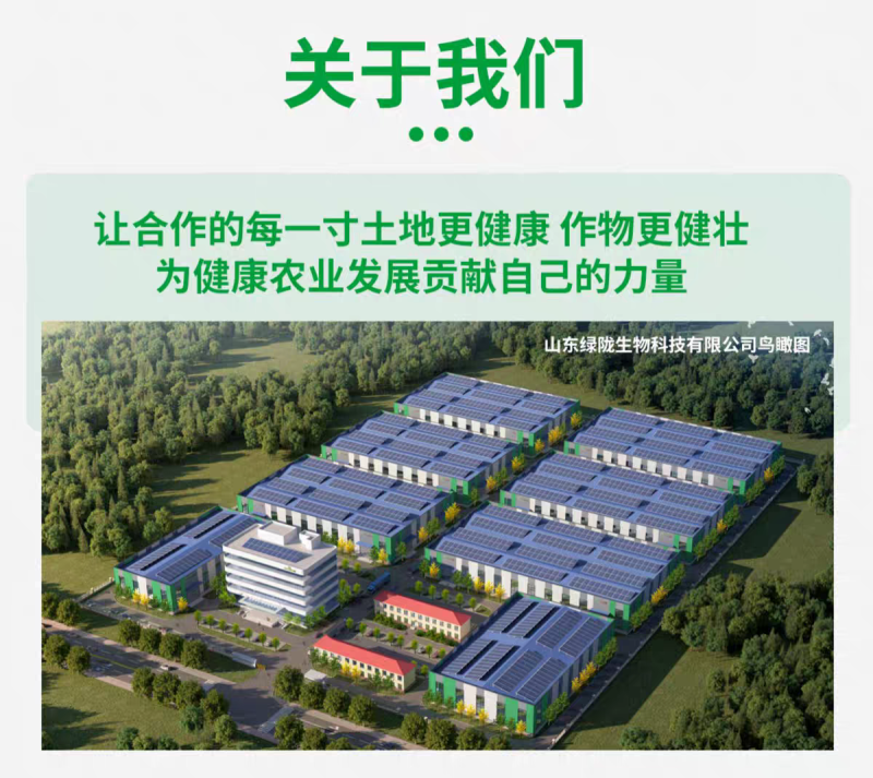 改良土壤调理酸碱增产提质