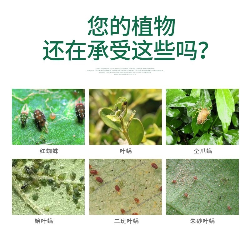 乙螨唑杀螨剂主要杀卵红蜘蛛白蜘蛛茶黄螨
