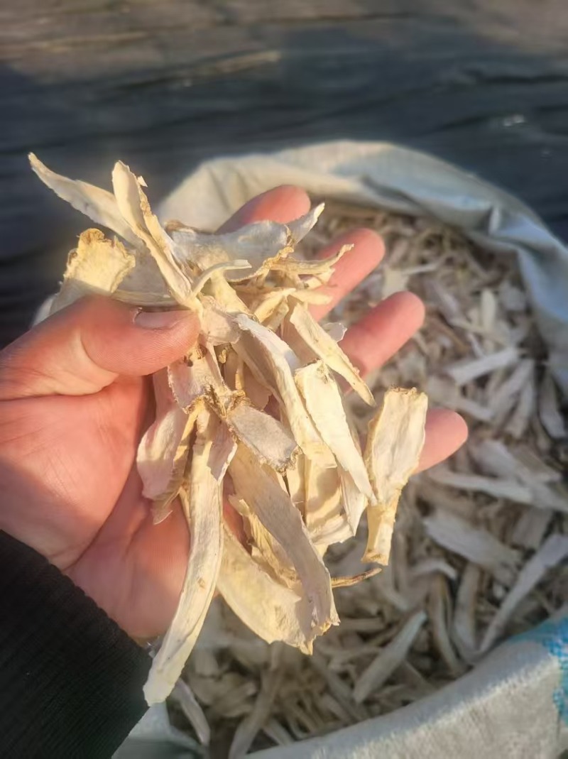 优选桔梗鲜货干货斜片各种规格产地直发量大从优