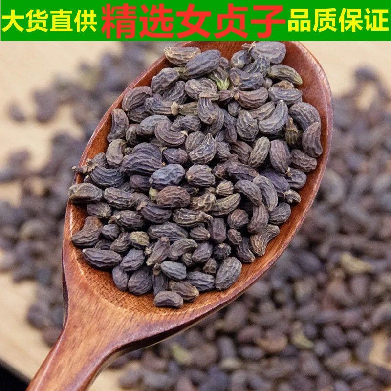 女贞子中药材炙女贞子，酒制女贞子无硫生晒实物拍摄