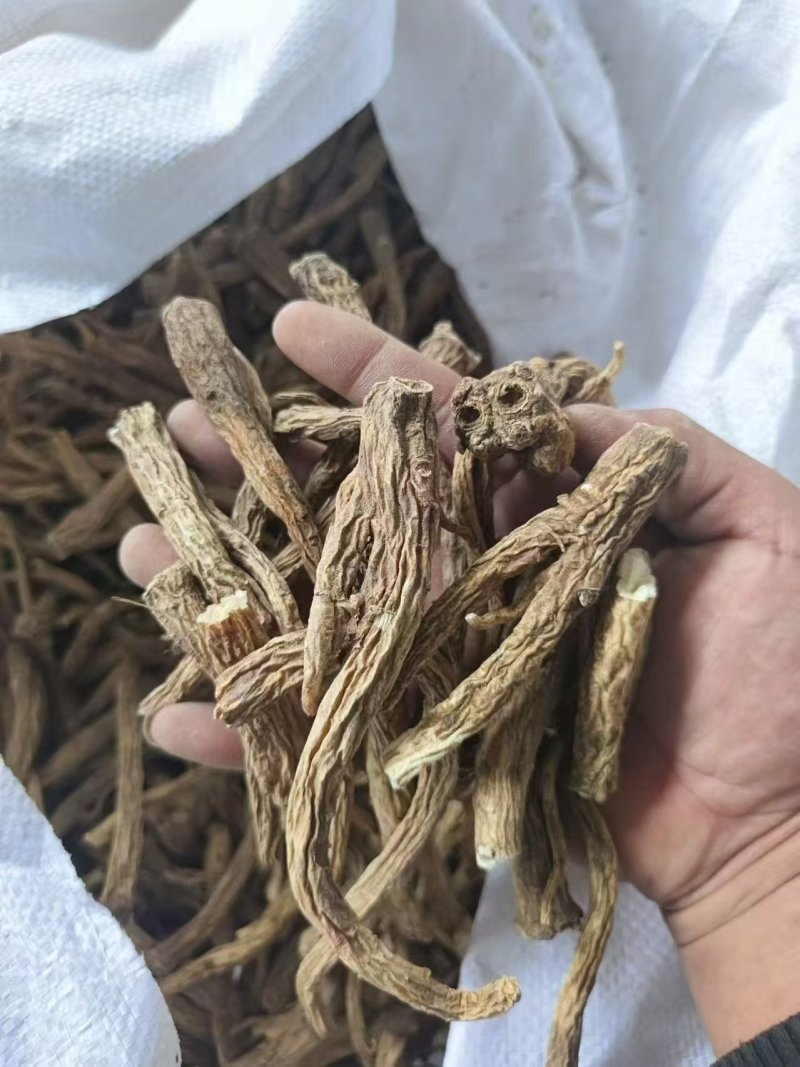 优选桔梗鲜货干货斜片各种规格产地直发量大从优